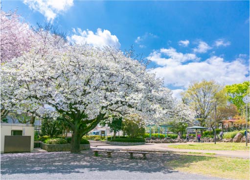 北第一公園