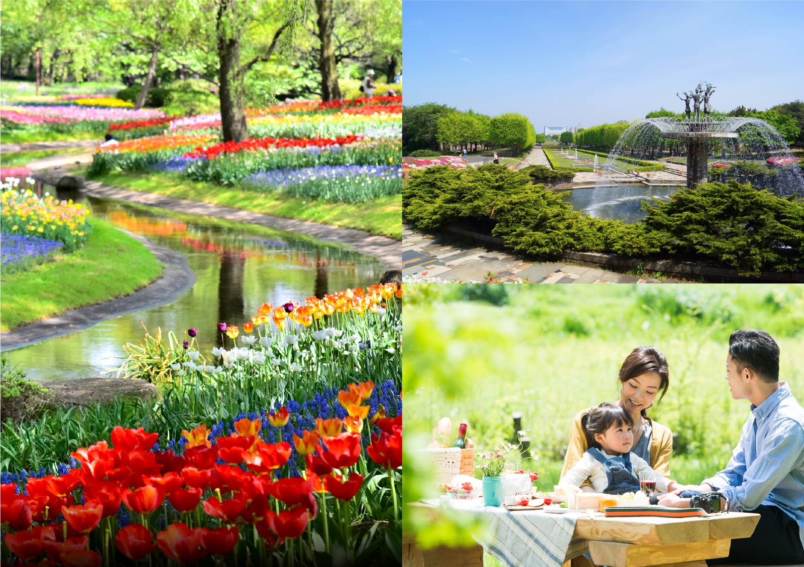 昭和記念公園