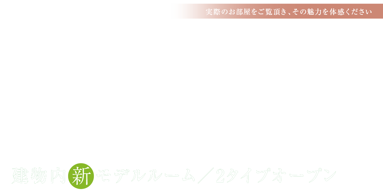 堂々完成