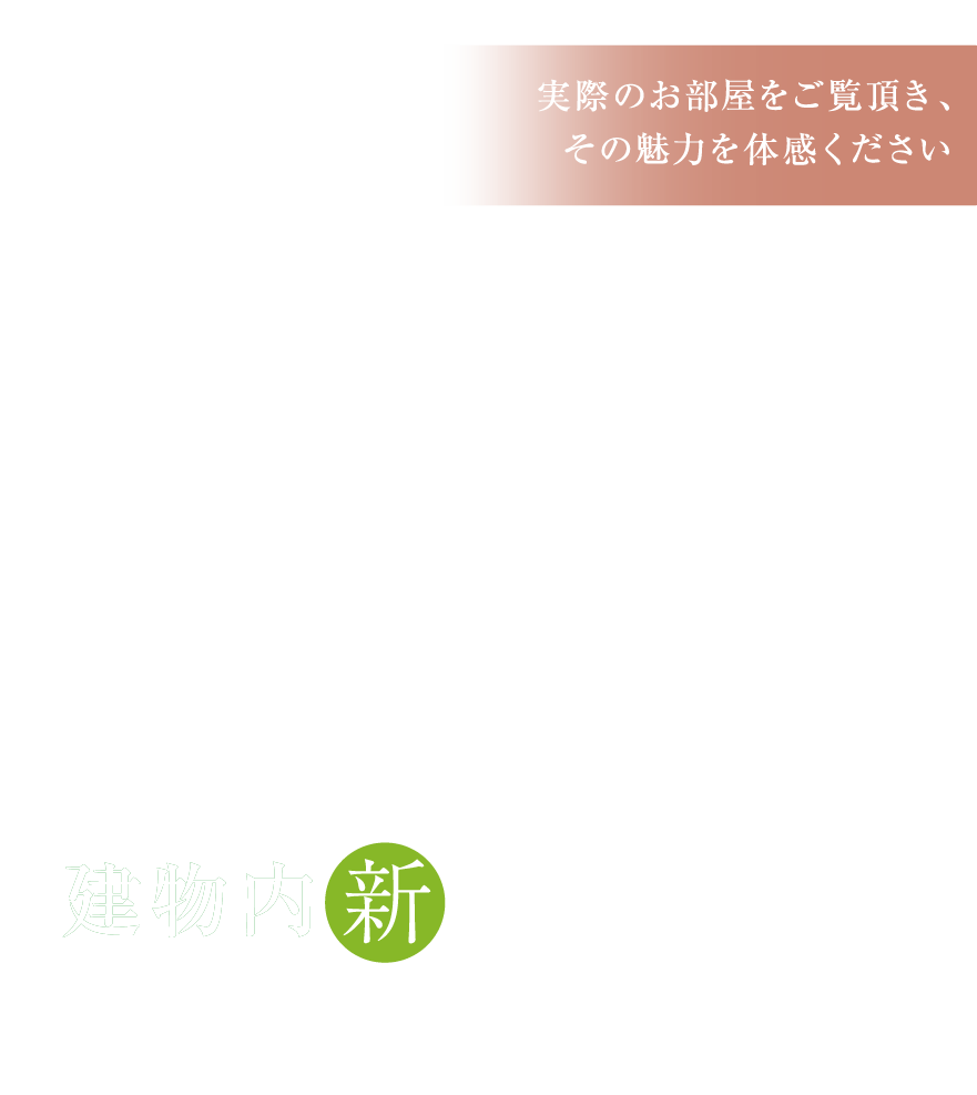 堂々完成
