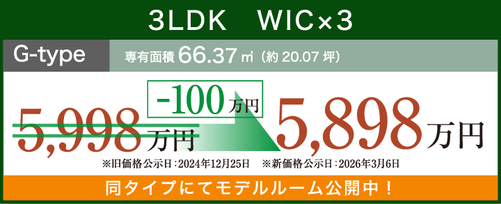 3LDK　WIC×3 g-typ 専有面積66.37㎡（約20.07坪）-91万円 5,898万円